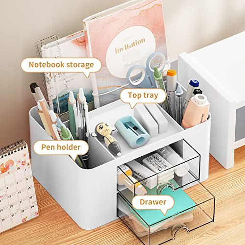 Marbrasse 2 Drawer Pen Organizer for Desk + Office Art Supplies
